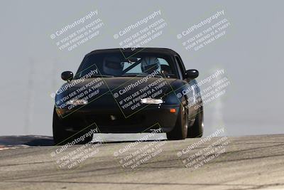 media/Jul-26-2025-Speed Ventures (Sat) [[fe569e6cf0]]/Purple Group/Grapevine/